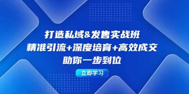 （12642期）打造私域&发售实操班：精准引流+深度培育+高效成交，助你一步到位-万项网