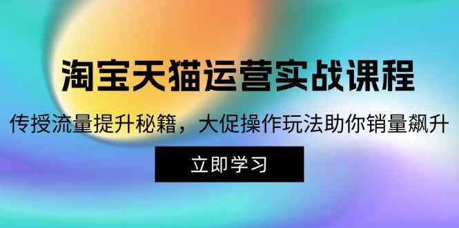 （12959期）淘宝&天猫运营实战课程，传授流量提升秘籍，大促操作玩法助你销量飙升-阿光创业网