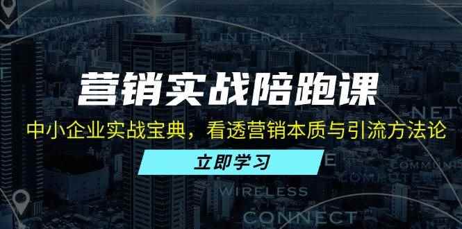 （13146期）营销实战陪跑课：中小企业实战宝典，看透营销本质与引流方法论-阿光创业网