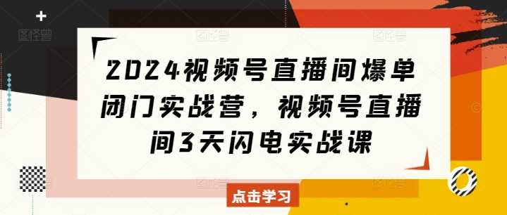 2024视频号直播间爆单闭门实战营，视频号直播间3天闪电实战课-阿光创业网