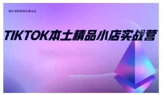 TikTok本土精品小店出海实战营，从入门到高阶，不止0-1!-阿光创业网